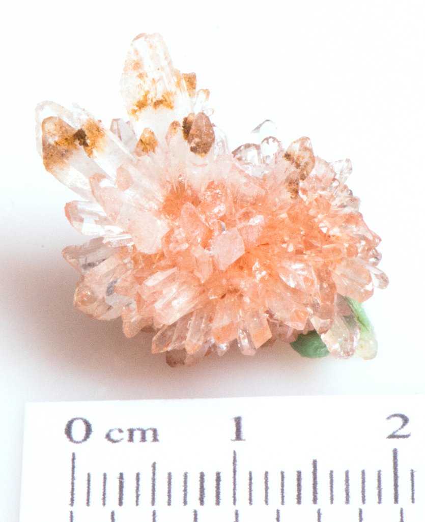 Creedite