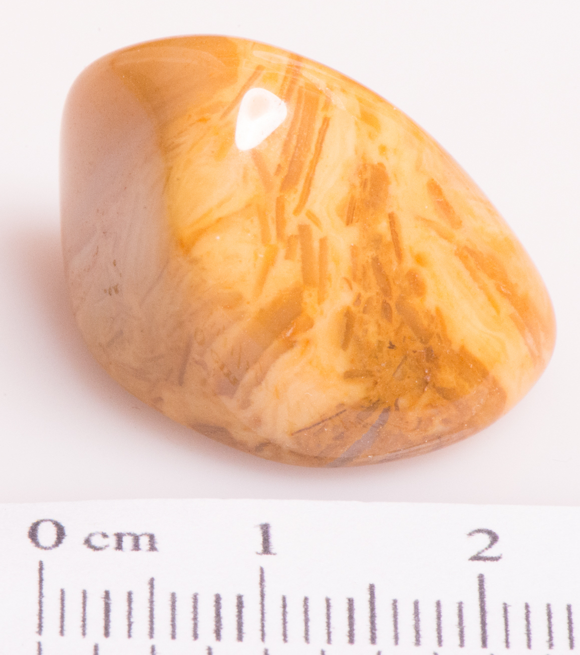 Jasper Yellow 02