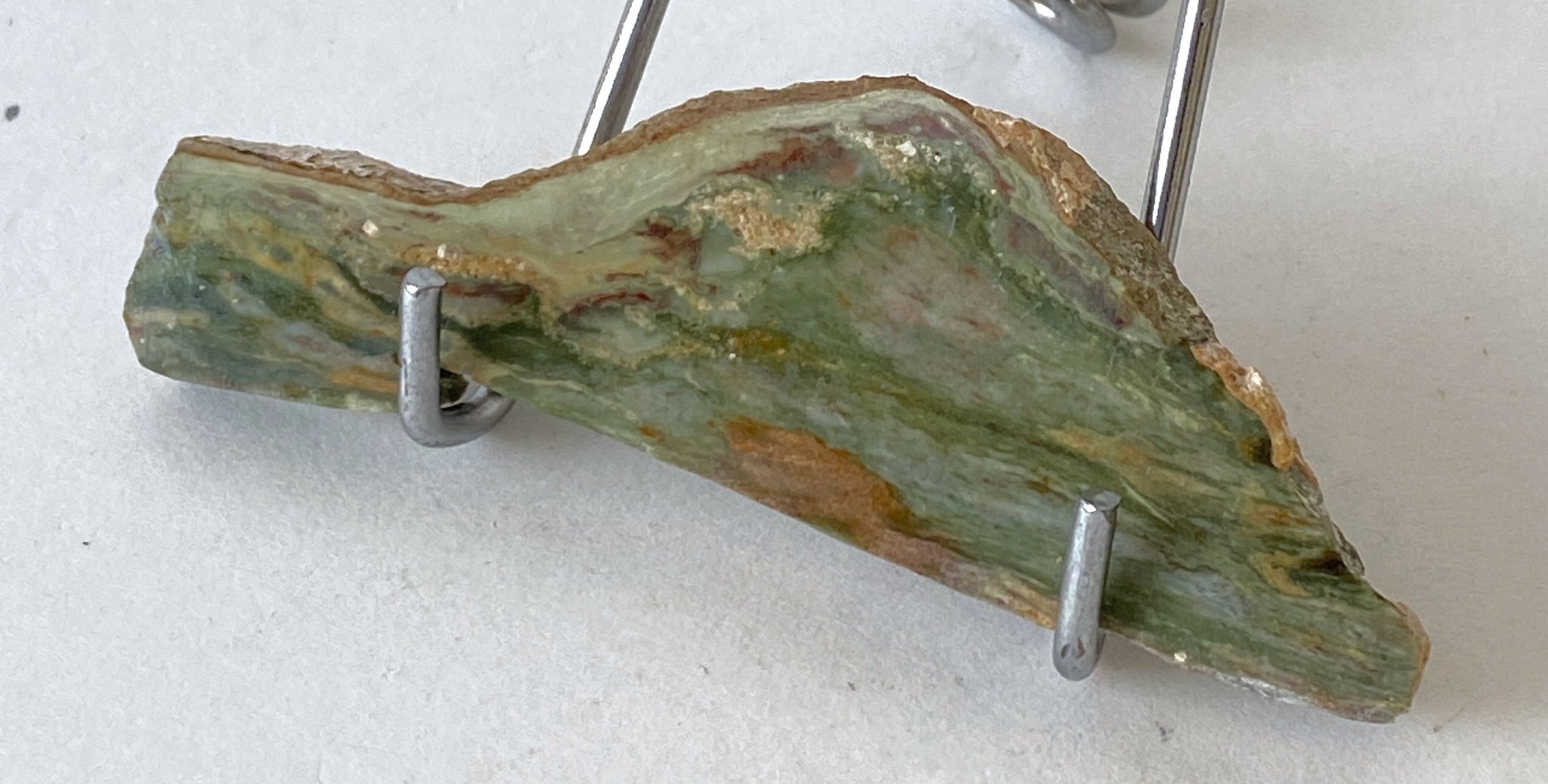 Petrified Bog Wood 01