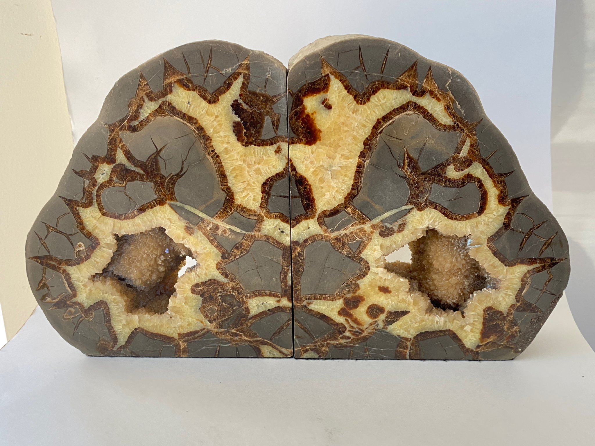 Septarian Nodule 01