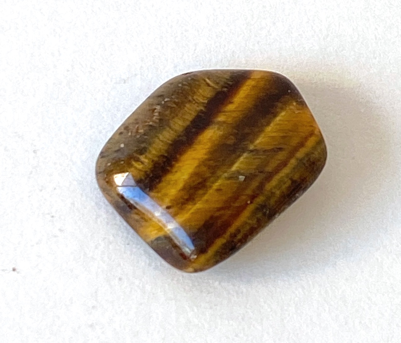 Tiger Eye Gold 03