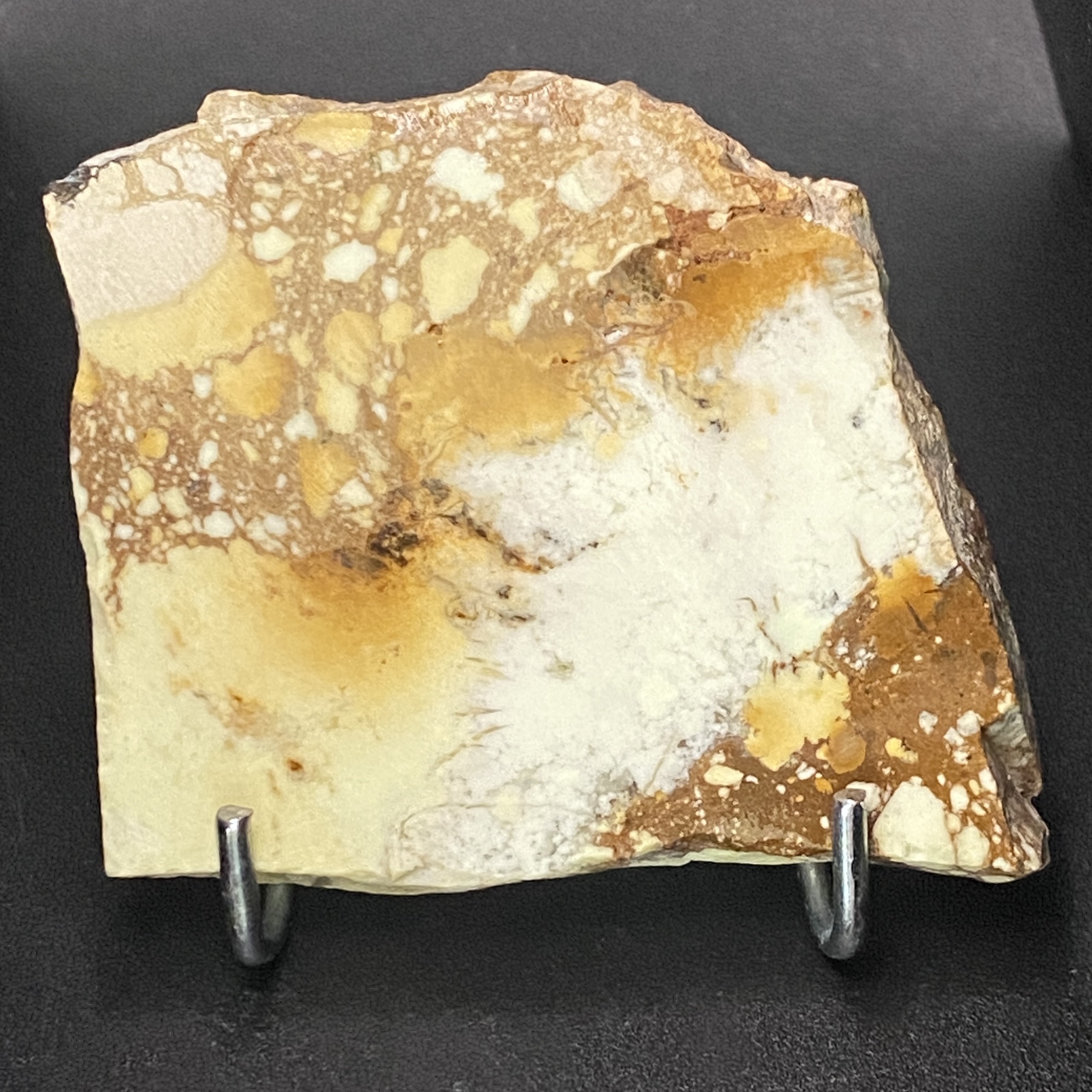 Magnesite Wild Horse 02