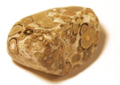 Jasper Leopard Skin 01