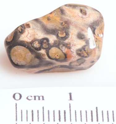 Jasper Leopard Skin 02