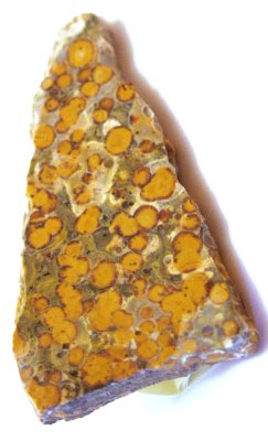 Jasper Leopard Skin 03
