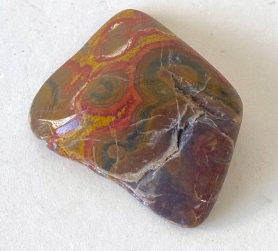 Jasper MorganHill Poppy 01