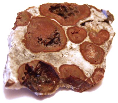 Jasper Obicular Red 01