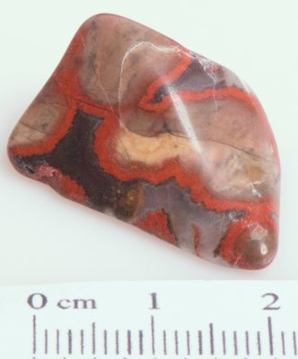 Jasper Poppy 01