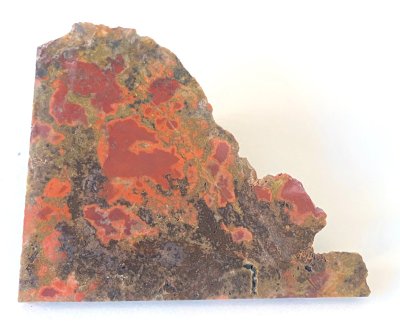 Jasper MorganHill Poppy 02