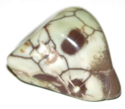 Jasper Spider Web 01