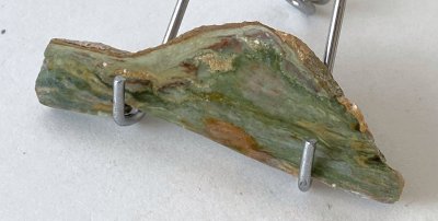 Petrified Bog Wood 01